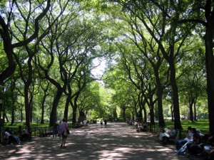 The Mall