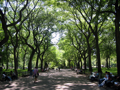The Mall in Central Park.