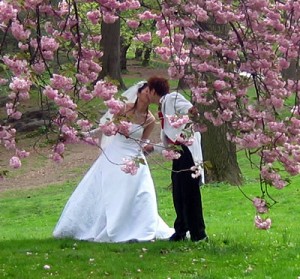 wedding wedding