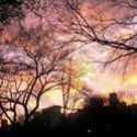 Dusk