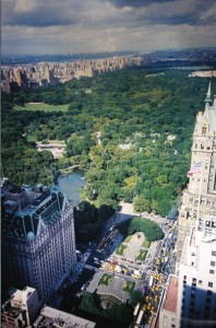 Overhead View of Central Park
