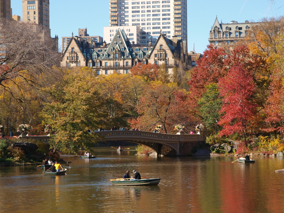Central Park