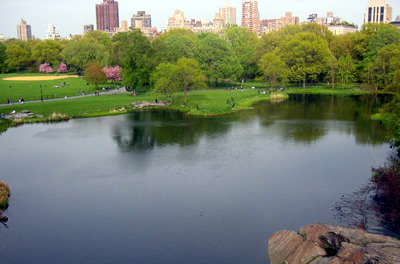 Turtle Pond - Central Park