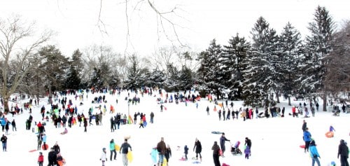 Sledding in Central Park