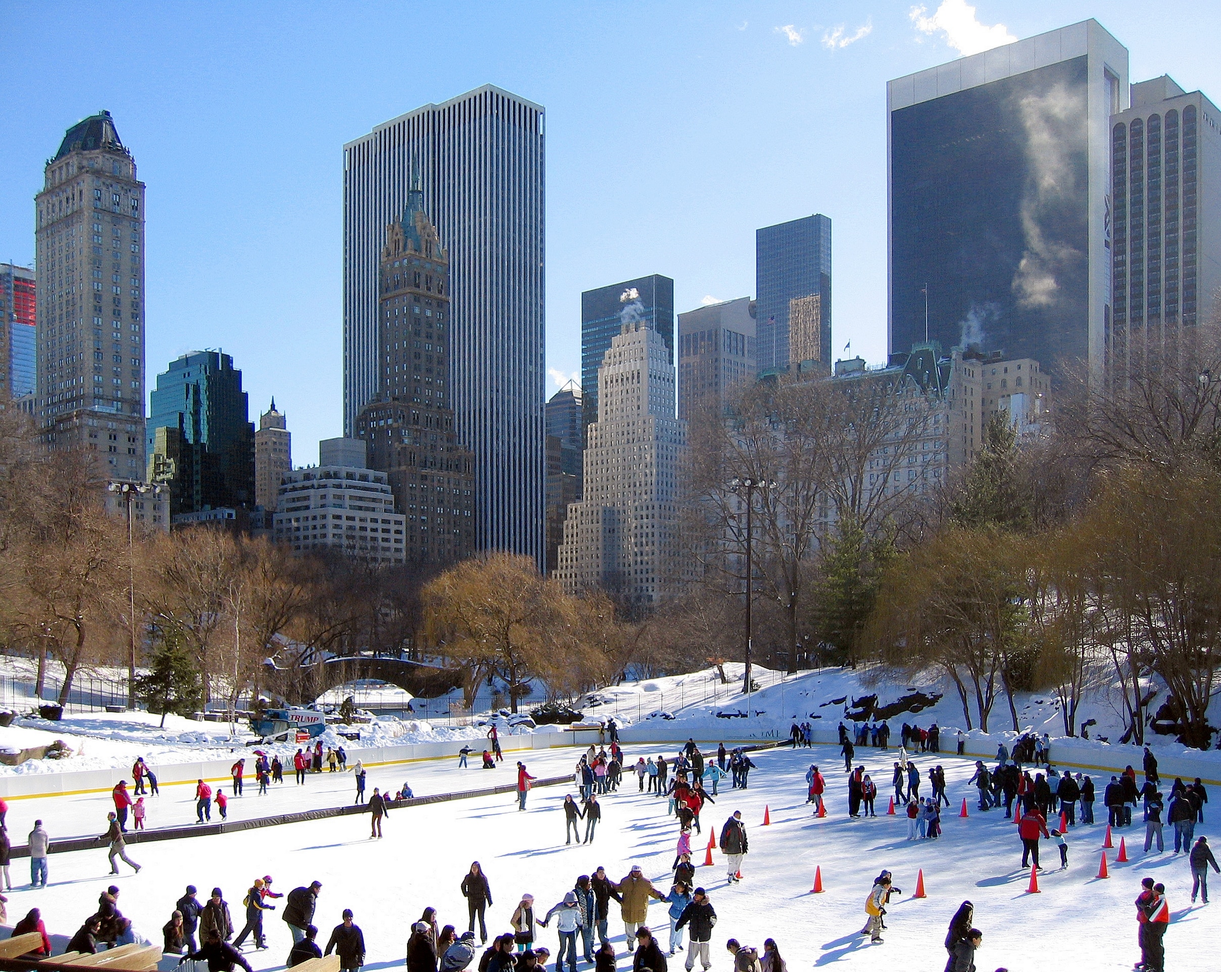 Ice Skating - Central Park