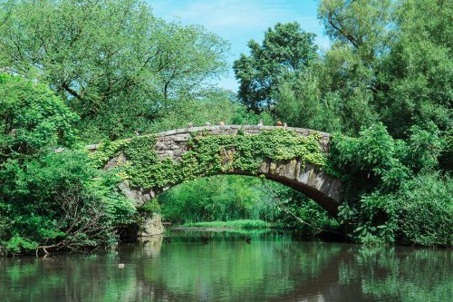 Gapstow Bridge - The Pond Central Park