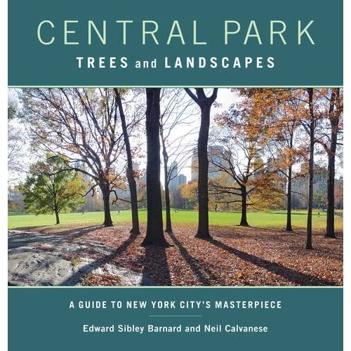 Central Park Trees