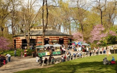 Central Park Carousel Open Again Under New Management!