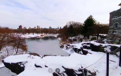 Take a Virtual Walk Around Turtle Pond