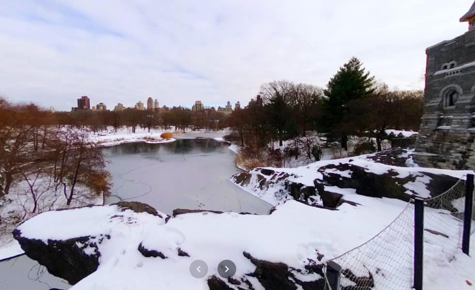 Take a Virtual Walk Around Turtle Pond - Central Park