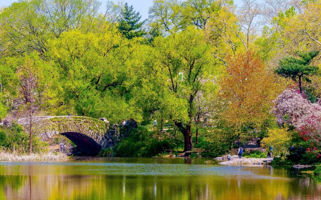 Central Park Becomes a Living Climate Laboratory