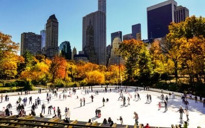 Wollman Rink Opens!