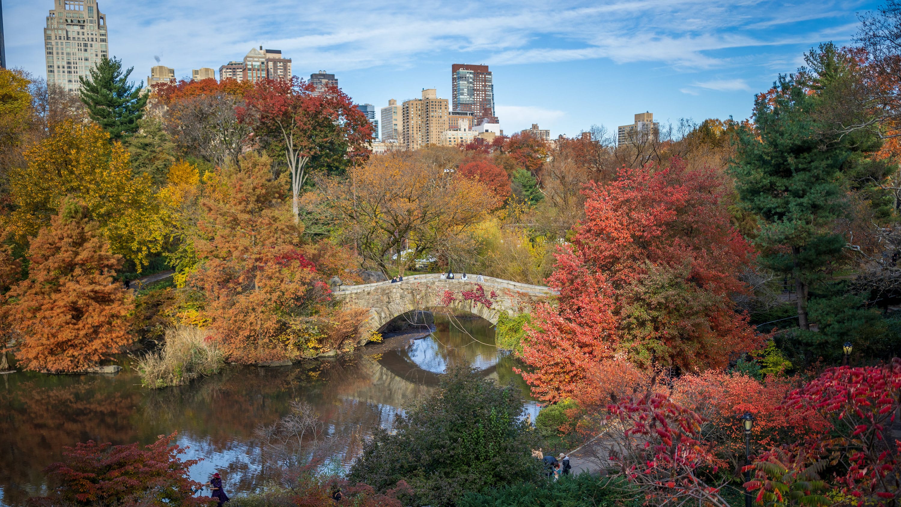 Fall Foliage Guide to Central Park