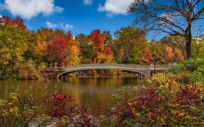 Five Best Spots for Fall Foliage in Central Park